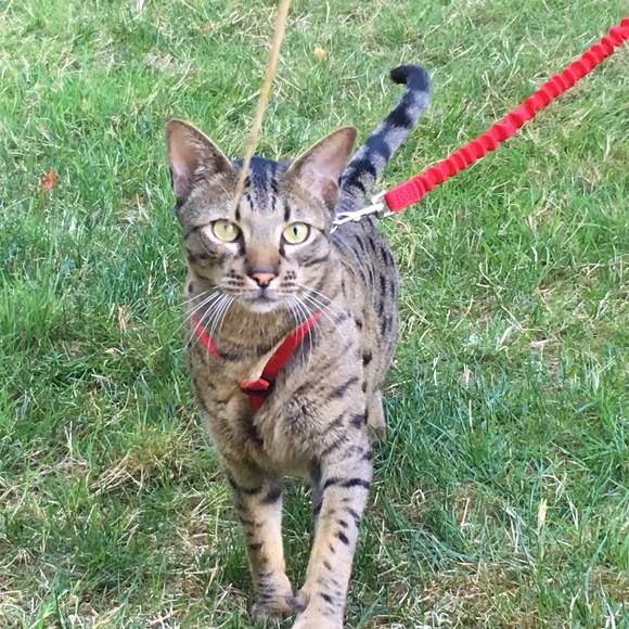 Meet your Posher, Susan - Picture 7 of 7